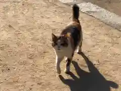 石清水神社の動物