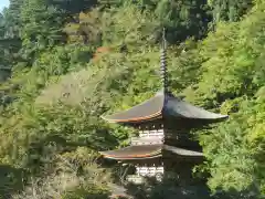 金剛院(京都府)