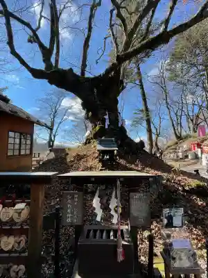 熊野皇大神社(長野県)