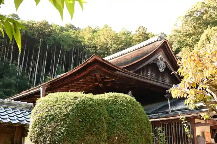 正伝護国禅寺(正伝寺・正傳寺)(京都府)