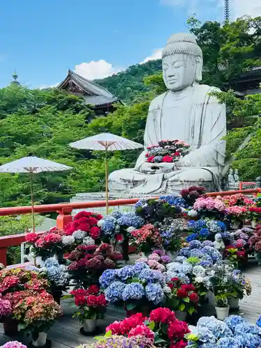 南法華寺（壷阪寺）(奈良県)