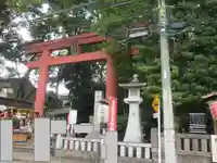 世田谷八幡宮(東京都)