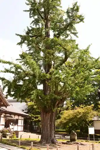 永保寺(岐阜県)