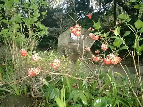 葛原岡神社の自然