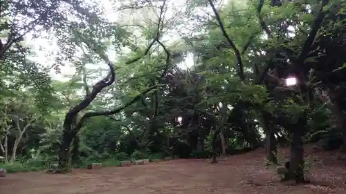 芝東照宮の自然