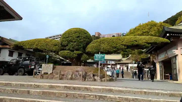 照國神社(鹿児島県)