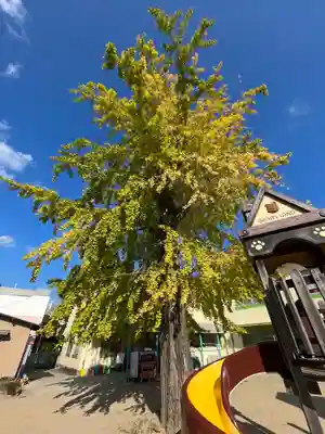 本福寺(滋賀県)