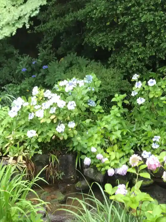 高幡不動尊 金剛寺(東京都)