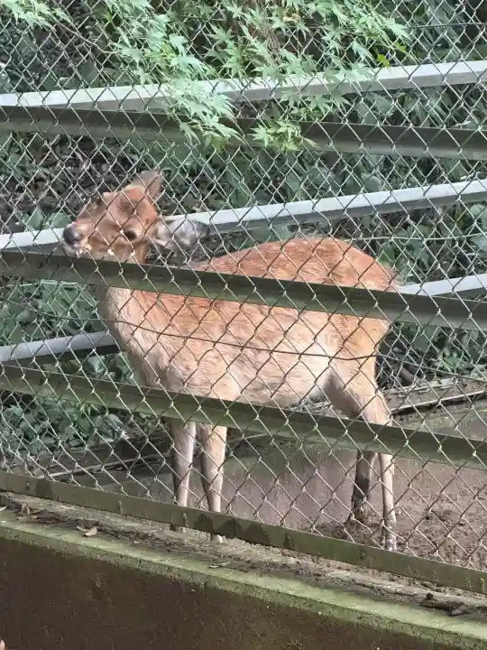 鹿島神宮(茨城県)