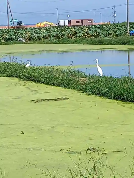 水天宮(茨城県)