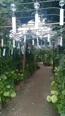 おふさ観音（観音寺）のその他建物