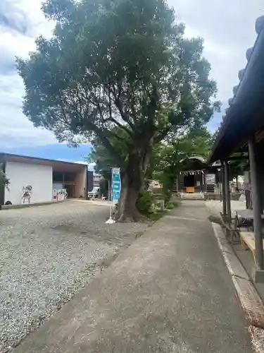 射箭頭八幡神社(和歌山県)