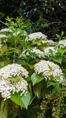 知恩院(京都府)