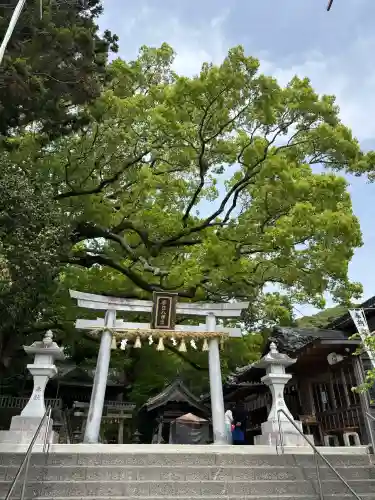 事任八幡宮の{uncategorized: "未分類", other: "その他", undefined: "問題あり", building: "その他建物", grave: "お墓", sacred_gate: "鳥居", guardian: "狛犬", statue: "像", buddha: "仏像", history: "歴史", nature: "自然", garden: "庭園", animal: "動物", pagoda: "塔", temizu: "手水舎", mountain_gate: "山門・神門", sanctuary: "本殿・本堂", subordinate: "末社・摂社", art: "芸術", scenery: "景色", jizo: "地蔵", ema: "絵馬", goshuin: "御朱印", omikuji: "おみくじ", items: "授与品その他", amulet: "お守り", goshuincho: "御朱印帳", eats: "食事", festival: "お祭り", votive_dance: "神楽", shichigosan: "七五三参", wedding: "結婚式", experience: "体験その他", initially: "初詣", around: "周辺", anti_infection: "感染症対策"}