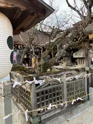 北野天満宮(京都府)