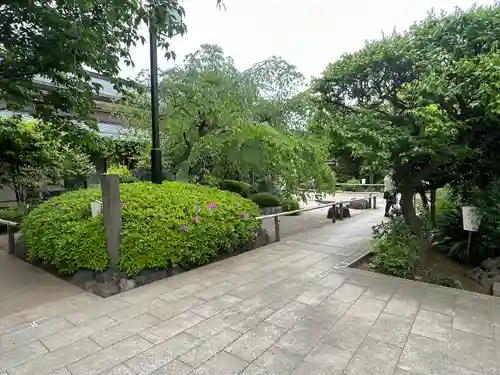 龍眼寺（萩寺）(東京都)