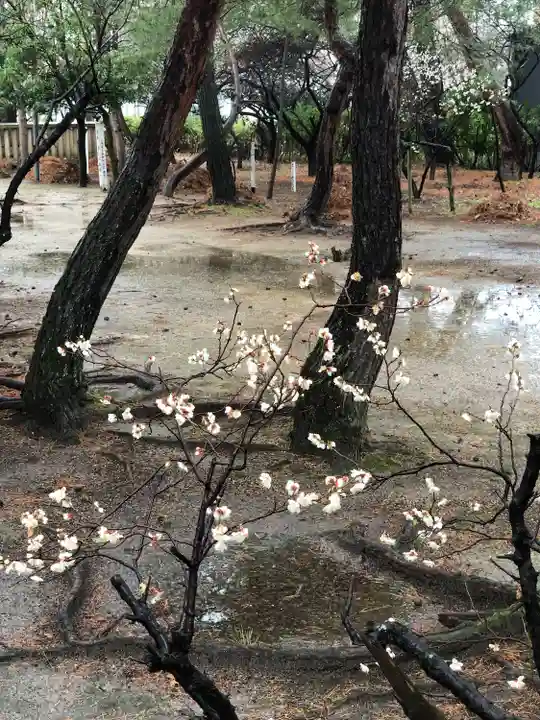 松原神社(福井県)