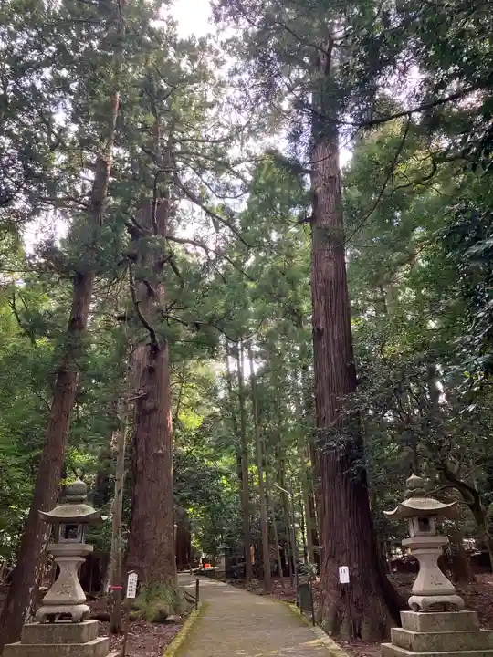 若狭彦神社(上社)(福井県)