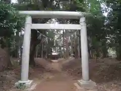 老尾神社(千葉県)