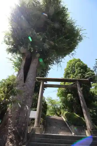 所澤神明社(埼玉県)