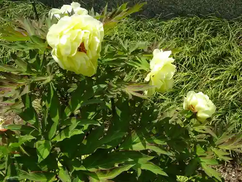 天台宗　長窪山　正覚寺の自然