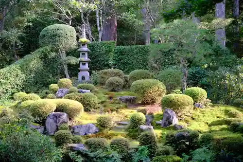 三千院門跡の庭園