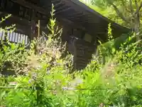 浄光明寺の自然