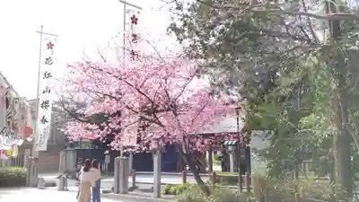 櫻木神社(千葉県)