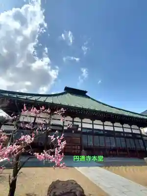 円通寺(福島県)