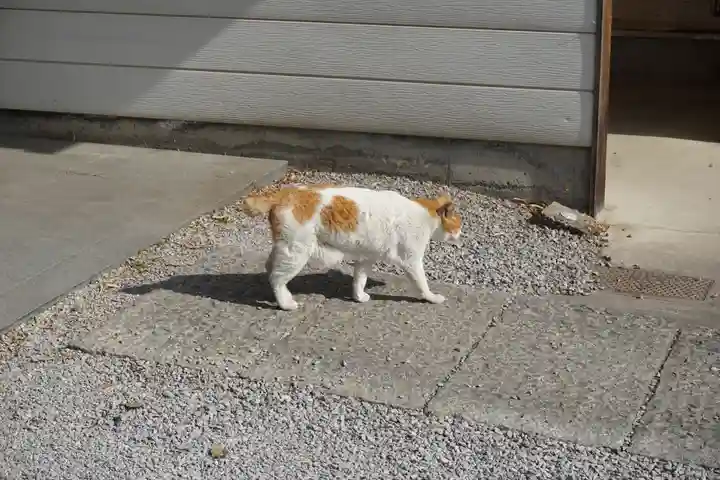 前玉神社の動物