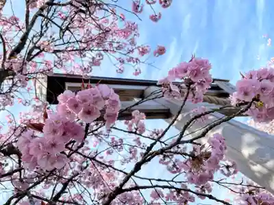 春日神社の自然