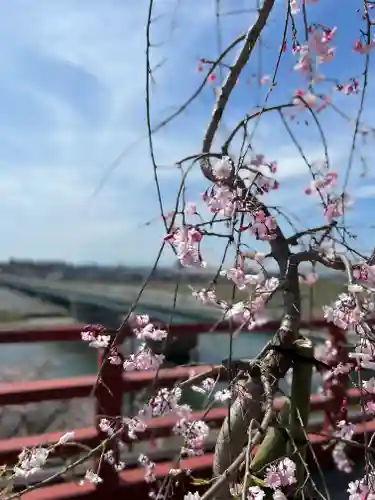 多摩川浅間神社の自然