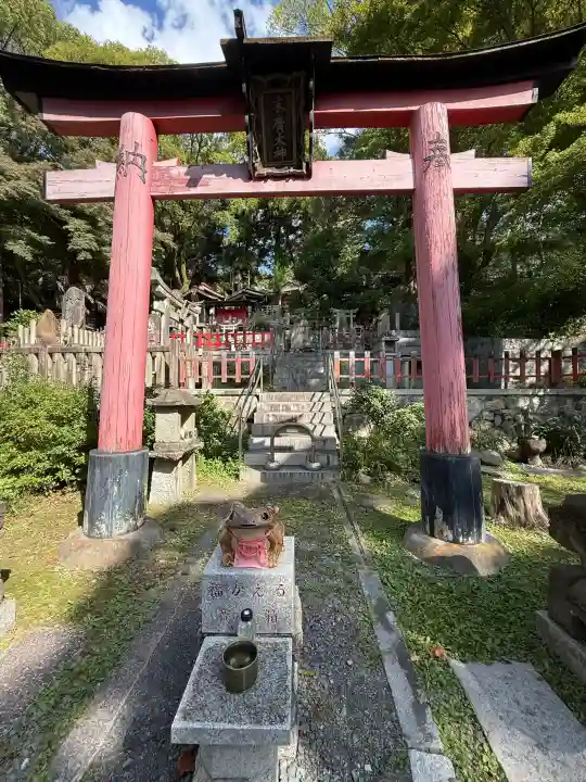 末廣神社の{uncategorized: "未分類", other: "その他", undefined: "問題あり", building: "その他建物", grave: "お墓", sacred_gate: "鳥居", guardian: "狛犬", statue: "像", buddha: "仏像", history: "歴史", nature: "自然", garden: "庭園", animal: "動物", pagoda: "塔", temizu: "手水舎", mountain_gate: "山門・神門", sanctuary: "本殿・本堂", subordinate: "末社・摂社", art: "芸術", scenery: "景色", jizo: "地蔵", ema: "絵馬", goshuin: "御朱印", omikuji: "おみくじ", items: "授与品その他", amulet: "お守り", goshuincho: "御朱印帳", eats: "食事", festival: "お祭り", votive_dance: "神楽", shichigosan: "七五三参", wedding: "結婚式", experience: "体験その他", initially: "初詣", around: "周辺", anti_infection: "感染症対策"}