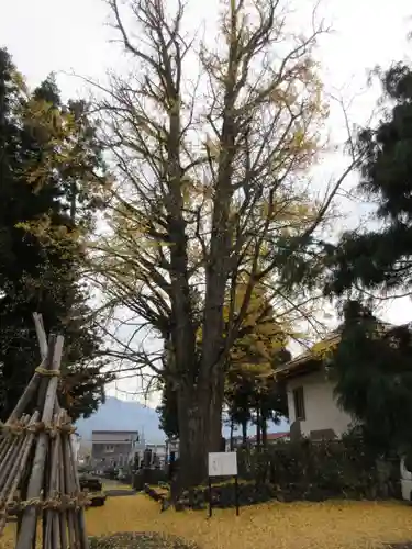 長恩寺のその他建物