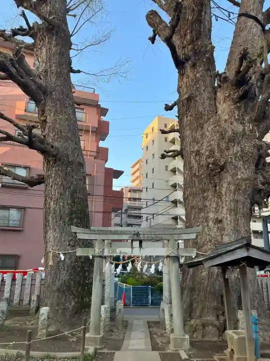 出世稲荷神社の{uncategorized: "未分類", other: "その他", undefined: "問題あり", building: "その他建物", grave: "お墓", sacred_gate: "鳥居", guardian: "狛犬", statue: "像", buddha: "仏像", history: "歴史", nature: "自然", garden: "庭園", animal: "動物", pagoda: "塔", temizu: "手水舎", mountain_gate: "山門・神門", sanctuary: "本殿・本堂", subordinate: "末社・摂社", art: "芸術", scenery: "景色", jizo: "地蔵", ema: "絵馬", goshuin: "御朱印", omikuji: "おみくじ", items: "授与品その他", amulet: "お守り", goshuincho: "御朱印帳", eats: "食事", festival: "お祭り", votive_dance: "神楽", shichigosan: "七五三参", wedding: "結婚式", experience: "体験その他", initially: "初詣", around: "周辺", anti_infection: "感染症対策"}