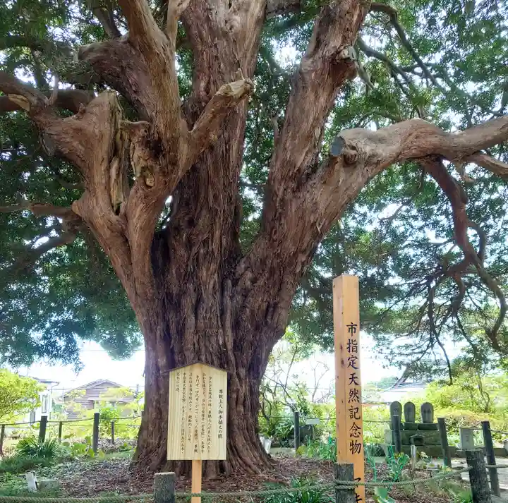 安養院 (田代寺)(神奈川県)