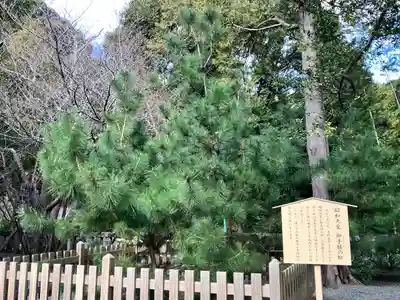 伊豆山神社(静岡県)