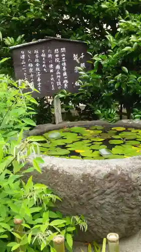 極楽寺（霊鷲山感應院極楽律寺）の歴史