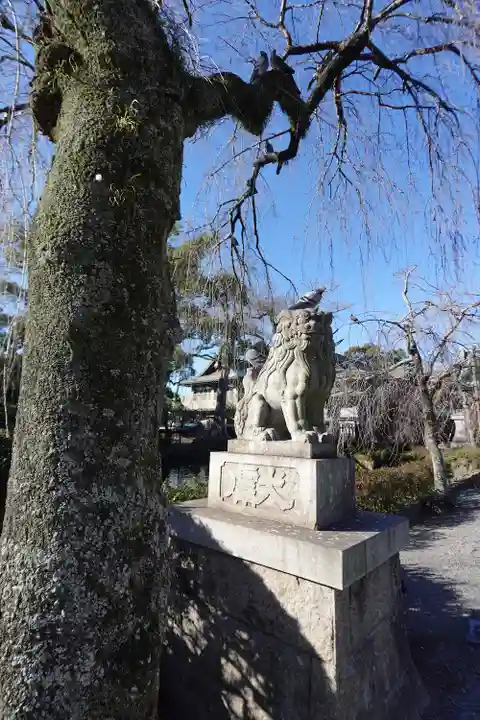 三嶋大社(静岡県)