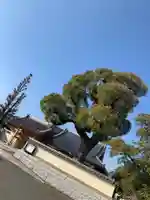 萬行寺のその他建物