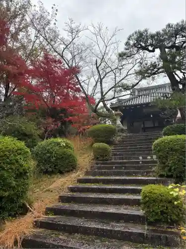 金剛定寺(滋賀県)