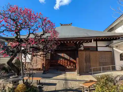 鳳林寺(東京都)