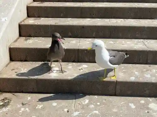 蕪嶋神社(青森県)