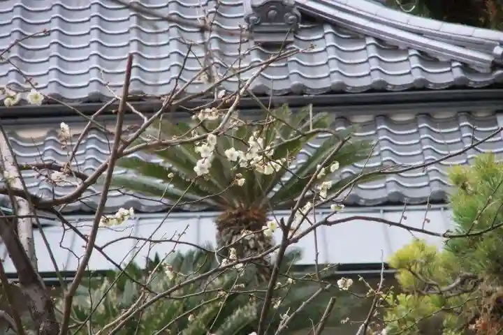 福仙寺(山口県)