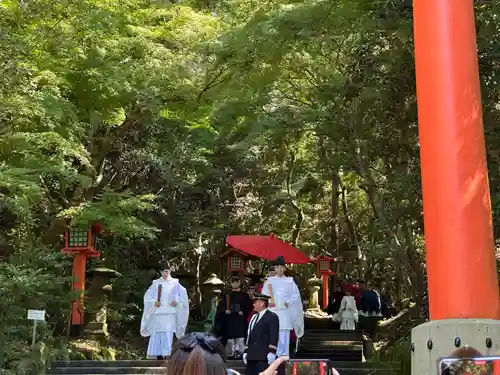 宇佐神宮(大分県)