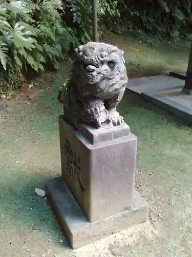 富岡八幡宮の狛犬