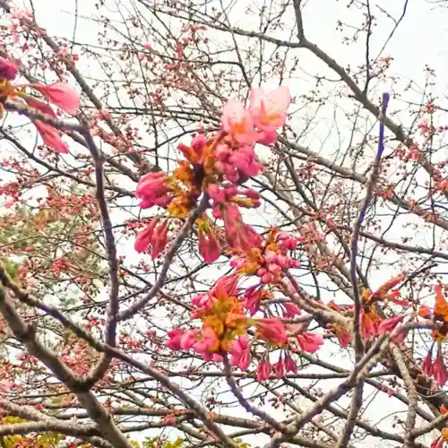彌彦神社　(伊夜日子神社)の自然