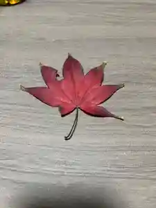 大宮温泉神社(栃木県)(2022年11月13日(日) 07時59分19秒投稿)