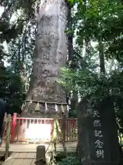 麻賀多神社の自然