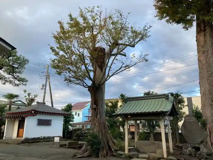加茂神社(神奈川県)
